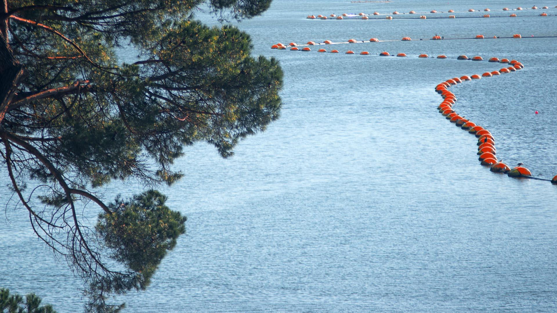 Challenges and Solutions in Pipeline Dredging